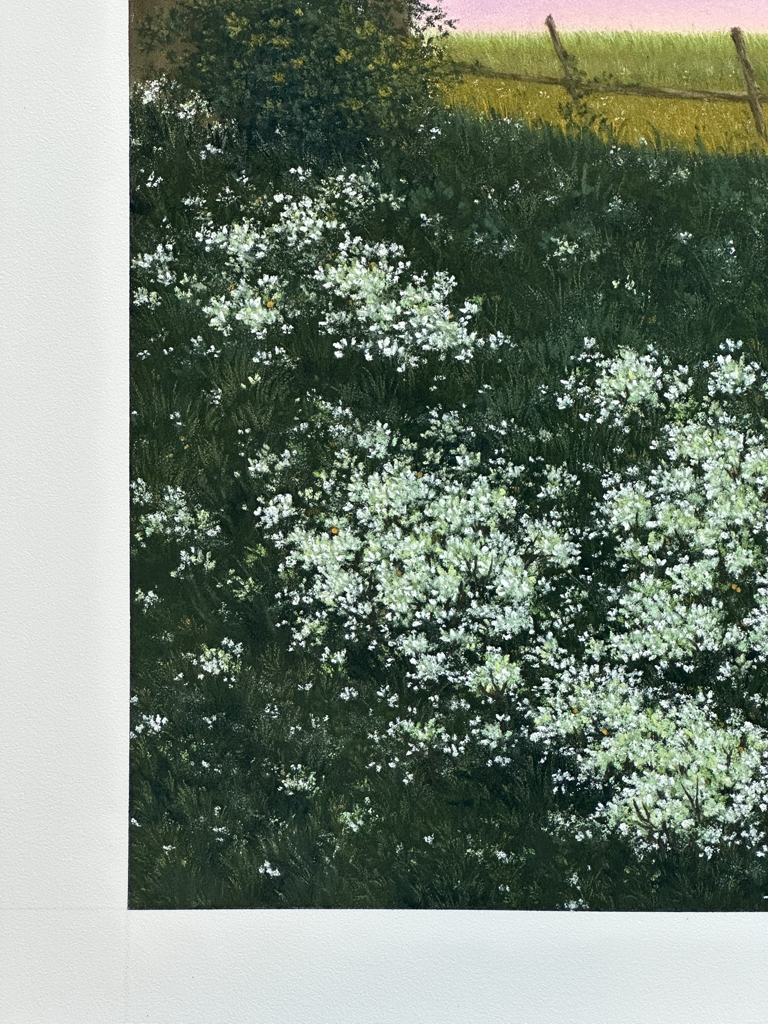 Twilight Over Fields - Image 6