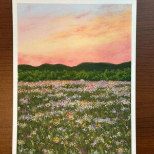 Among the Wildflowers